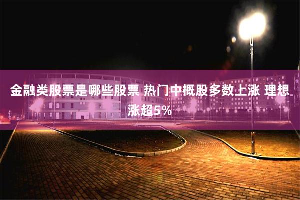 金融类股票是哪些股票 热门中概股多数上涨 理想涨超5%