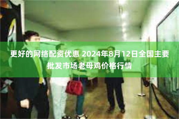 更好的网络配资优惠 2024年8月12日全国主要批发市场老母鸡价格行情