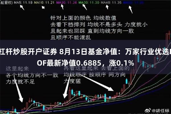 杠杆炒股开户证券 8月13日基金净值：万家行业优选LOF最新净值0.6885，涨0.1%