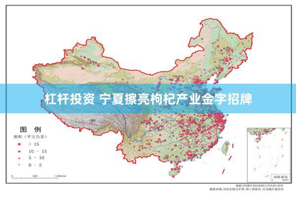 杠杆投资 宁夏擦亮枸杞产业金字招牌