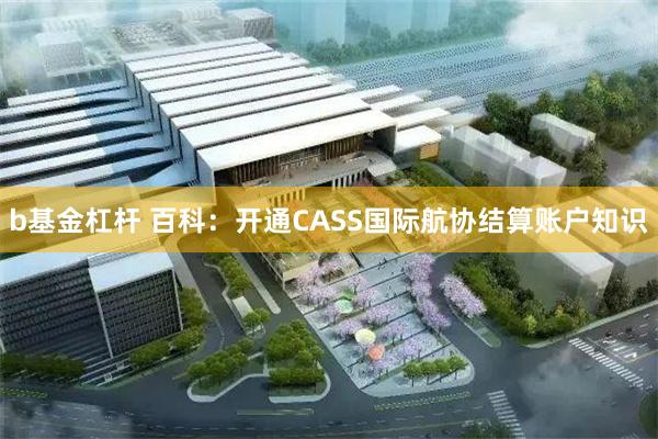 b基金杠杆 百科：开通CASS国际航协结算账户知识