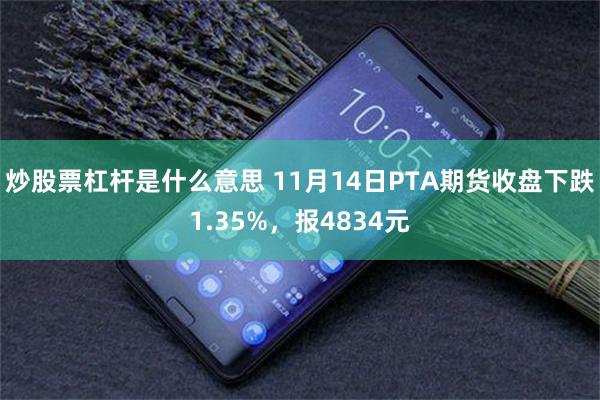 炒股票杠杆是什么意思 11月14日PTA期货收盘下跌1.35%，报4834元