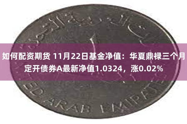 如何配资期货 11月22日基金净值：华夏鼎禄三个月定开债券A最新净值1.0324，涨0.02%