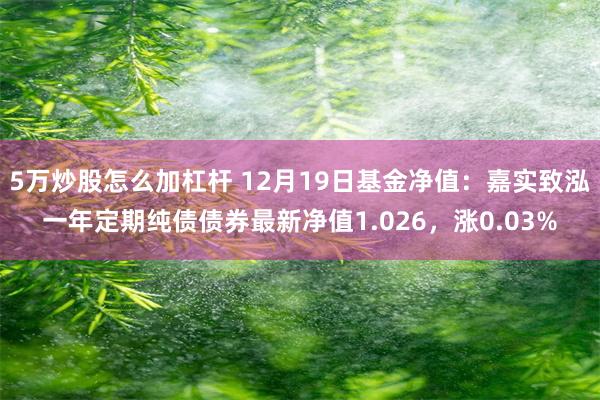 5万炒股怎么加杠杆 12月19日基金净值：嘉实致泓一年定期纯债债券最新净值1.026，涨0.03%