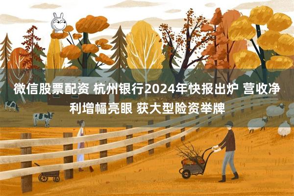 微信股票配资 杭州银行2024年快报出炉 营收净利增幅亮眼 获大型险资举牌