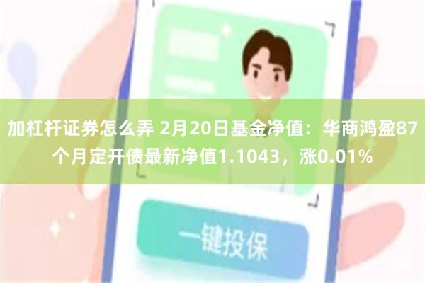 加杠杆证券怎么弄 2月20日基金净值：华商鸿盈87个月定开债最新净值1.1043，涨0.01%