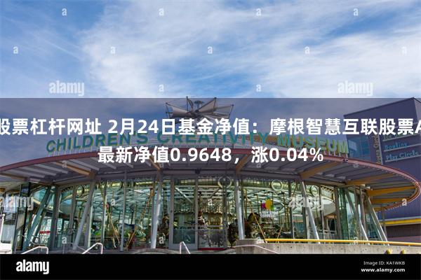 股票杠杆网址 2月24日基金净值：摩根智慧互联股票A最新净值0.9648，涨0.04%