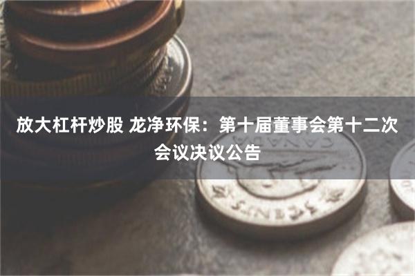 放大杠杆炒股 龙净环保：第十届董事会第十二次会议决议公告