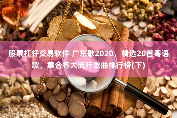 股票杠杆交易软件 广东歌2020，精选20首粤语歌，集合各大流行歌曲排行榜(下)